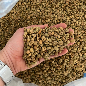 Grains de café vert de haute qualité à prix réduit, Excelsa 1-AA Grade, certifiés ISO du Vietnam, sac en jute de 60 kg, vente en gros - Product Image 3