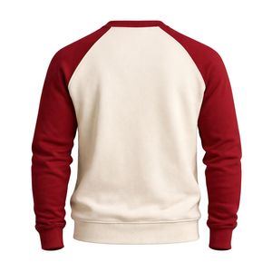 ΦΝΠ Phi Nu Pi Raglan Chenille <b>Sweatshirt</b> True To Size Premium Fleece Embroidered Greek Fraternity Apparel - Product Image 5