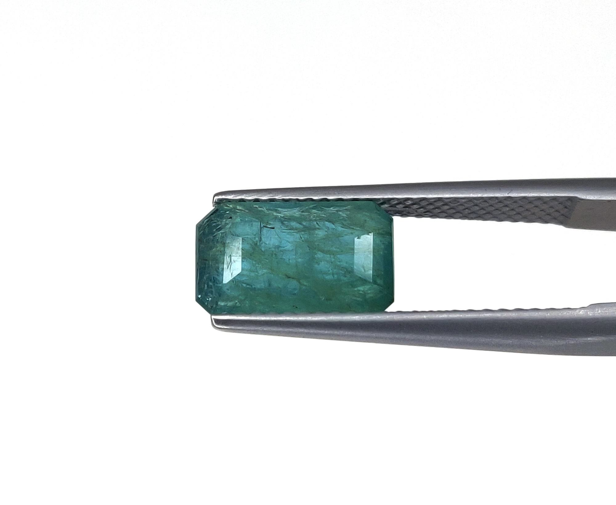 สีเขียวปานกลาง