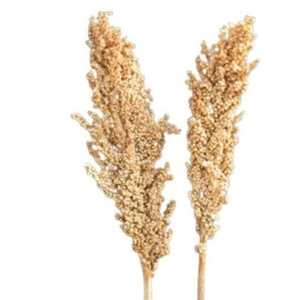 Décoration de maison de bonne qualité, écologique, durable, en herbe de maïs naturelle séchée indienne, pour la fête des pères, Halloween, la remise des diplômes - Product Image 1