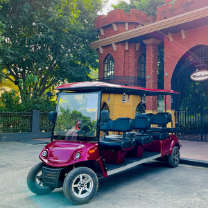 8 Seater Golf Buggy écologique | Voiturette de golf 8 places à prix d'usine/Voiturette de golf de luxe 8 places avec batterie au lithium | - Product Image 1