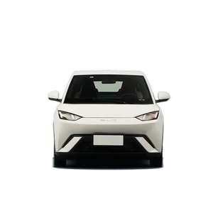 Auto Eléctrico Hatchback 2024 con Tracción Delantera, Interior Oscuro, Techo Panorámico, Asientos de Cuero, Euro VI, Tamaño de Neumáticos R15, Atractivo Auto de Nueva Energía - Product Image 1