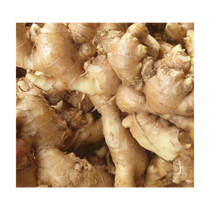 Zesty ขิงสดที่มีพื้นผิวด้านในเนื้อแน่นมีกลิ่นหอมและการกัดที่แข็งแกร่งเป็นที่นิยมสำหรับการทำอาหารและเครื่องดื่ม - Product Image 3