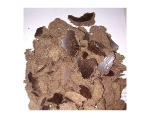 Compre/pida pastel de almendra de palma de calidad (PKC) /Harina de expulsión de almendra de palma. - Product Image 4