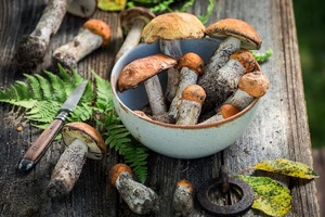 Seta comestible salvaje entera blanqueada seca Cordyceps Militaris con contenido de Shiitake comida saludable - Product Image 3