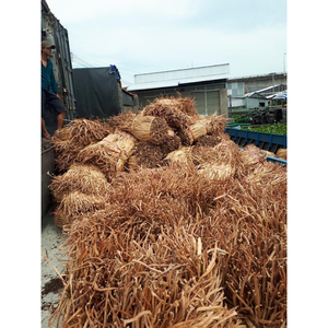 Cuerda de jacinto de agua seca natural, venta al por mayor, cuerdas trenzadas de jacinto de agua sostenible comprimidas - Product Image 2