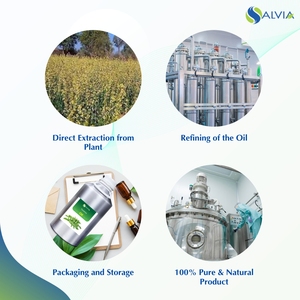 Huile de Taramira 100% pur et naturel en gros en vrac prix le plus bas emballage personnalisé - Product Image 4