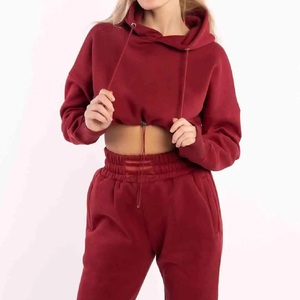 Chándal de lana para mujer, precio barato, diseño personalizado, ropa deportiva, venta al por mayor, superventas, profesional, último chándal de gran tamaño 2025 - Product Image 2