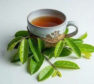 Su socio en guanábana: exportador a granel confiable de Vietnam - Product Image 6