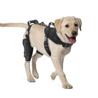 Attelle de genou articulée respirante et réfléchissante réglable pour chien, avec harnais de soutien articulaire orthopédique pour l'extérieur, vente en gros