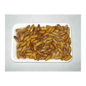 Harina de Gusano de Seda Natural Congelada para Alimentación de Ganado y Aves de Corral, Alta Calidad, Grado Superior, con Servicio OEM/ODM - Product Image 5