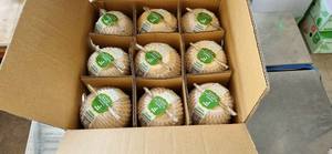 Coco fresco Premium de VIET NAM-Embalaje a granel La mejor OFERTA DE JULIO Contáctenos para cotización y muestras VIET THIEN PHU COMPANY - Product Image 6