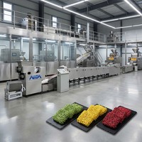 Machine à frire automatique en acier inoxydable pour nouilles instantanées, équipement de friture pour nouilles instantanées carrées et rondes, directement de l'usine