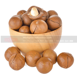 Macademia du Vietnam bon marché, de renommée, de qualité et bon pour la santé - Product Image 6