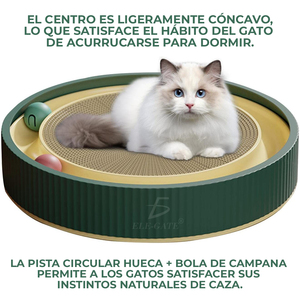 Moderno Tiragraffi per Gatti in Sisal con Giocattoli Interattivi per Gattini, Tiragraffi per Gatti in Confezione di Cartone - Product Image 5