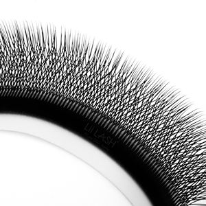 Pestañas de Efecto Volumen Extra Estrechas en Forma de W, Tallo Largo, Pre-fabricadas, Tipos C, CC, D, Suministros para Pestañas al por Mayor - Product Image 1