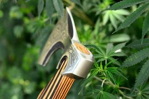 Custom Handmade High Carbon Steel Viking Hatchet with Leather Sheath for Camping Daily Outdoor Use <b>Survival</b> Industrial Grade - Product Image 2