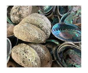 Coquille d'ormeau polie à deux faces en gros du Vietnam pour les applications de bijoux artisanaux et de décoration intérieure - Product Image 1