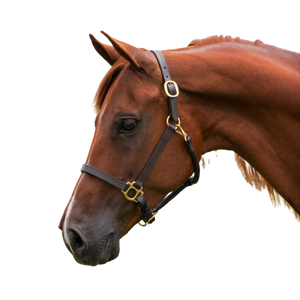 2025 vente chaude en cuir de qualité supérieure licou point de fantaisie pour l'équitation fabricant indien commande en gros en gros - Product Image 2