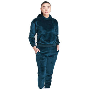 Femmes décontracté velours pull à capuche sweat haut pantalon costume hiver survêtements survêtement solide antibactérien velours - Product Image 1
