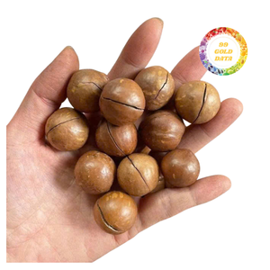 Tiêu chuẩn cao Việt Nam khô <span class=keywords><strong>Macadamia</strong></span> <span class=keywords><strong>Nuts</strong></span> 100% chân không tự nhiên đóng gói chế biến cẩn thận cho xuất khẩu người mua - Product Image 4