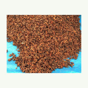 เมล็ดโป๊ยกั๊กสมุนไพรแตกเป็นเครื่องเทศแห้งเมล็ดโป๊ยกั๊ก - Product Image 3