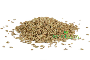 Herbes essentielles pour le bien-être digestif Botanicals for Gut Health - Product Image 5
