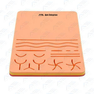 Kit complet de pratique de suture chirurgicale Ciseaux en acier inoxydable Forceps Instruments médicaux chirurgicaux Instruments médicaux Outils - Product Image 6