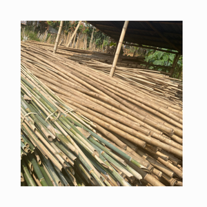 Postes de bambú natural, material recto y duradero de la ciudad natal del bosque, postes de bambú grandes, postes de bambú fumigados tratados - Product Image 2