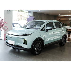 Soldes Exceptionnelles 2023 : Voiture Électrique Geometry E - Product Image 1