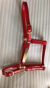 Auténtico cuero inglés Halter marrón suave acolchado cuero latón Hardware Durable cómodo ecuestre tachuela - Product Image 4