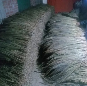 Hierba de escoba Natural de calidad superior para hacer escobas de hierba duraderas, ideales para herramientas de limpieza industrial para el hogar - Product Image 4