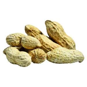 Premium Quality Natural Organic Shelled <b>Peanuts</b> Available at Competitive Prices - Product Image 4