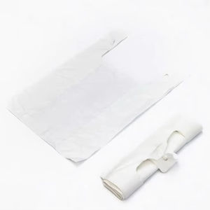 ถุงพลาสติก-ถุงช้อปปิ้ง-ถุงบอลลูนในซูเปอร์มาร์เก็ต-ราคาดีพร้อมส่งออกหลายประเทศ-สินค้าของ VN - Product Image 1