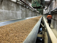 Granulés de bois écologiques de haute qualité Greenfire Factory, combustible solide naturel pour la cuisson, haute teneur calorique 4700J, haute densité