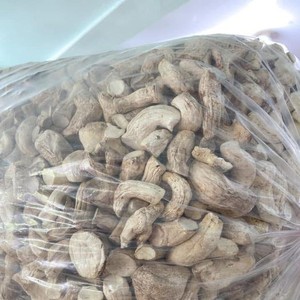 Champignon Shiitake avec bon goût Usine Pieds Shiitake du fournisseur du Vietnam Grande quantité de champignon Shiitake - Product Image 4