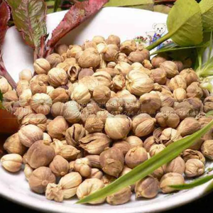 Épice aux herbes de cardamome blanche naturelle de haute qualité séchée et en poudre des exportateurs vietnamiens - Product Image 3