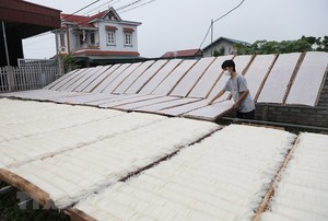 วุ้นเส้นข้าวแห้งเวียดนามและบะหมี่ทุกชนิด ราคาโรงงาน-สินค้าเกษตร - Product Image 3