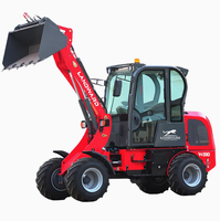 Minipala Gommata FL956 4x4 Compatta per Lavori Agricoli e Edili