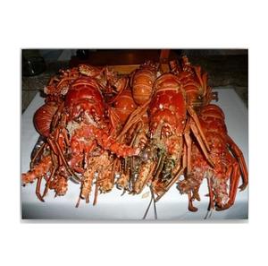 Frozen <b>Lobster</b> / Frozen <b>Lobster</b> Tail / Fresh Live - Product Image 1