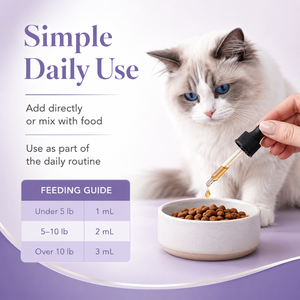 Gouttes de soutien viral pour chats sous marque privée, L-Lysine 250mg pour le système immunitaire et la santé quotidienne, supplément nutritionnel liquide pour chats - Product Image 3