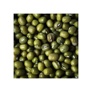 Bán buôn Nhà cung cấp chất lượng tốt nhất màu xanh lá cây đậu xanh để bán trong giá rẻ - Product Image 1