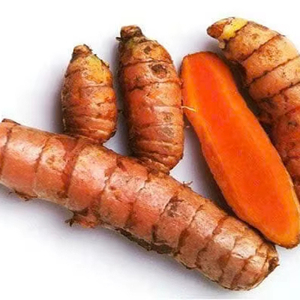 ขมิ้นสดแห้งจากเวียดนาม - Product Image 1