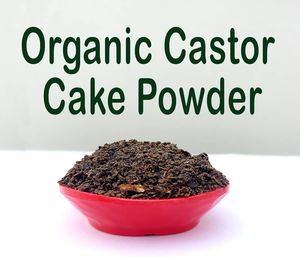 Direct Factory Supply of Natural Castor Cake Powder Manure Rooting Agent for Agriculture Exported from India - Product Image 6