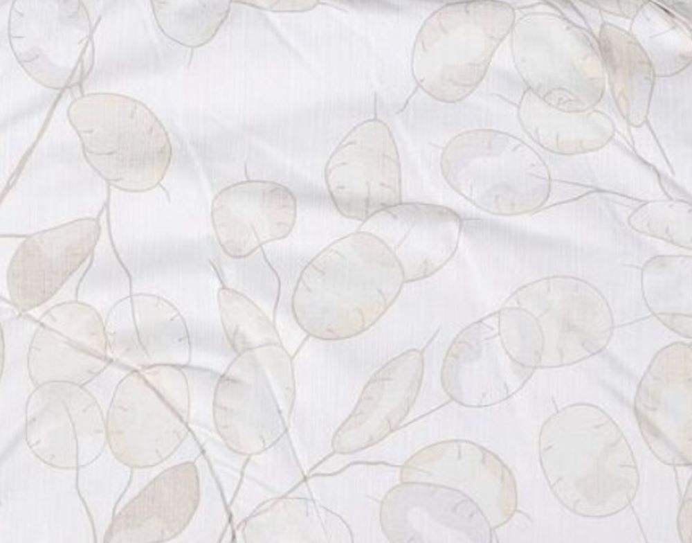 พื้นหลังสีขาวมีใบไม้สีน้ำตาล