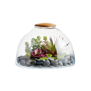 Terrario de cristal para sala de estar, comedor, artículo de decoración, Terrario de cristal, marco de Metal, decoración, terrario, bodas o eventos, fiestas - Product Image 4