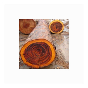 Bûches de bois de hêtre durables, issues d'une exploitation forestière responsable, pour un chauffage efficace - Product Image 6