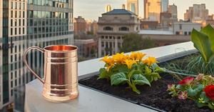 Tazas de mula de Moscú de cobre sólido ecológicas hechas a mano 100%, capacidad de 18 oz, regalo para ella, ¡vasos grandes que mejoran el sabor! - Product Image 4