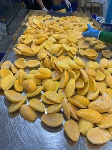 Saveur tropicale de mangue congelée vietnamienne IQF de haute qualité du Vietnam emballée sous vide - Product Image 5
