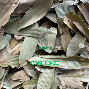 Daun kayu manis alami merupakan pilihan yang tepat untuk label OEM dalam kemasan ritel dan layanan makanan (WA +84914319488)